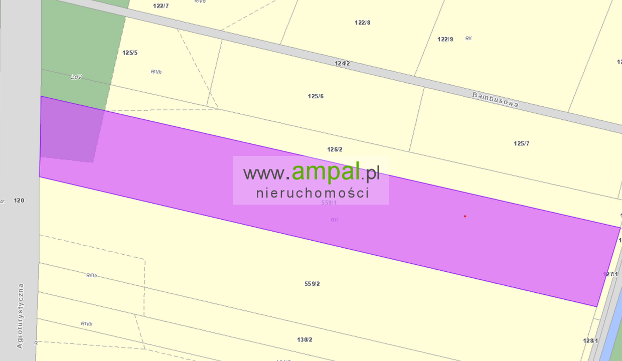 559 (AMPAL)